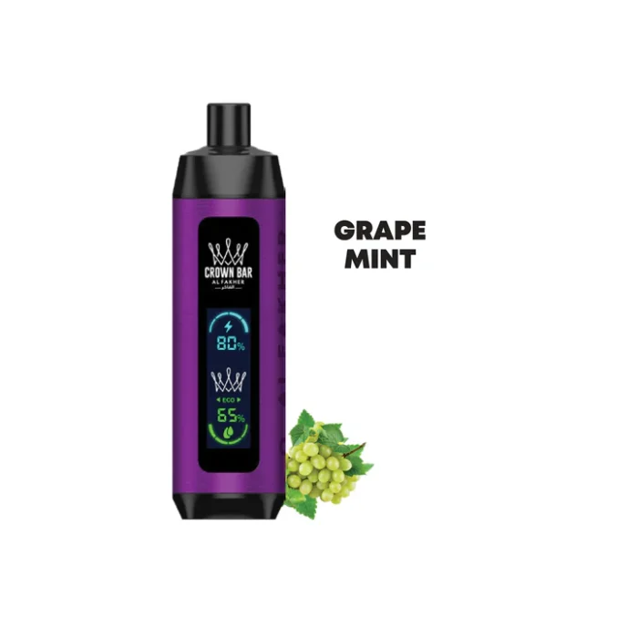 Buy Al Fakher 8000 Puffs in Pakistan