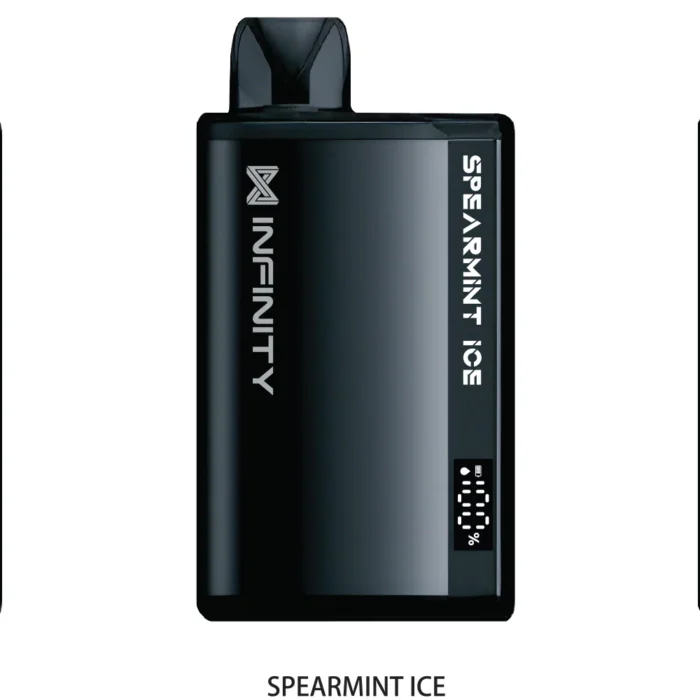Spearmint Infinity Ultra 8000 Puffs Disposable Vape Pakistan