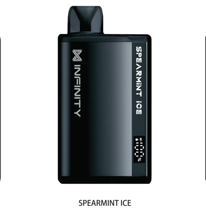 Spearmint Infinity Ultra 8000 Puffs Disposable Vape Pakistan